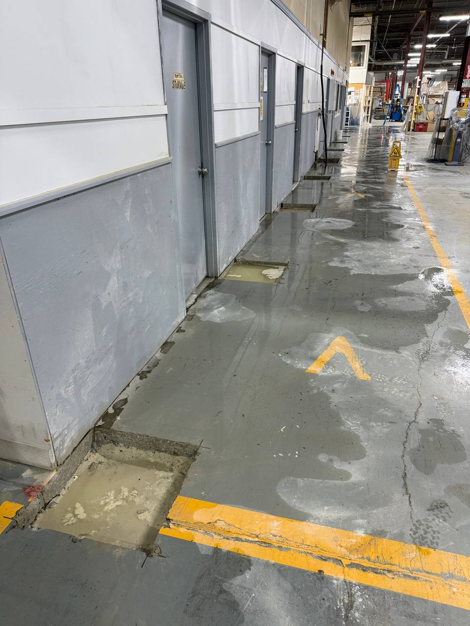 Concrete Scanning Hamilton
